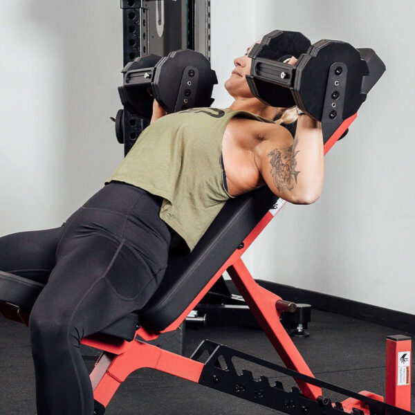 53F4C9FA-402F-43E2-8C30-423B1E74D36C Nighthawk Adjustable Bench