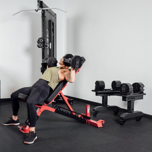 Nighthawk Adjustable Bench