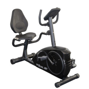 Recumbent Exercise Bike