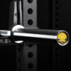 Barbells-Alpine-15kg-19-Edit Alpine