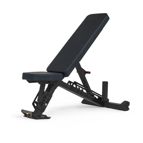 Nighthawk Adjustable Bench