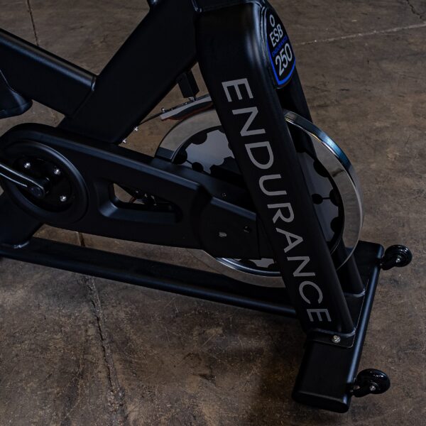 Endurance by Body-Solid Indoor Cycling Bike PRO