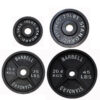 tds-cast-iron-plate-set_1_1_798x798 230lb Cast Iron Olympic Plate Set